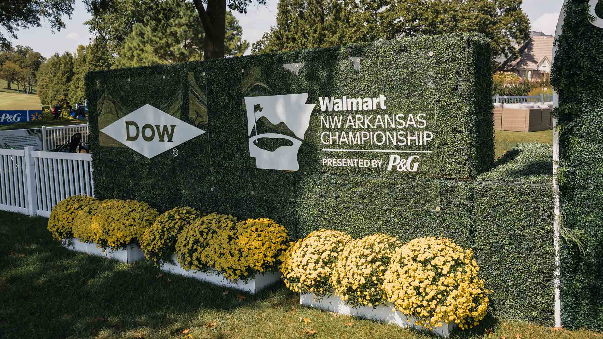 Dow Walmart